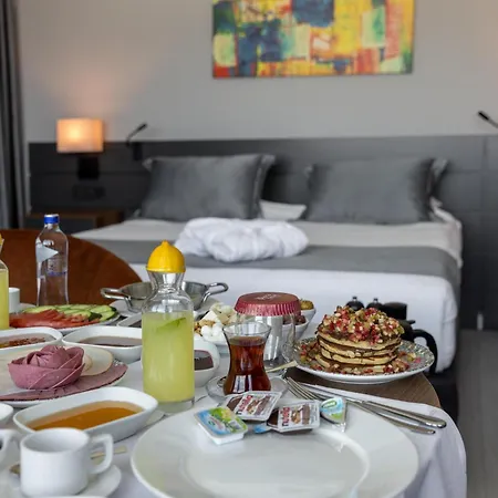 The Plaza 4* Edirne